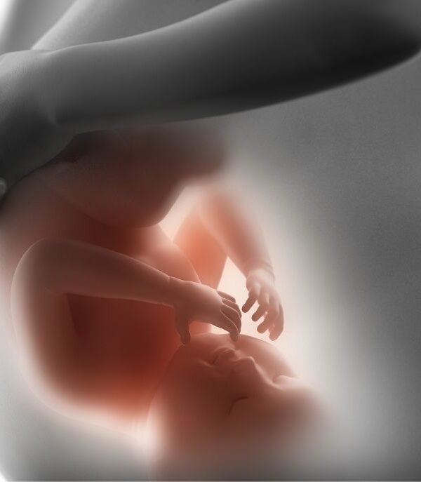 Pregnancy 600x687