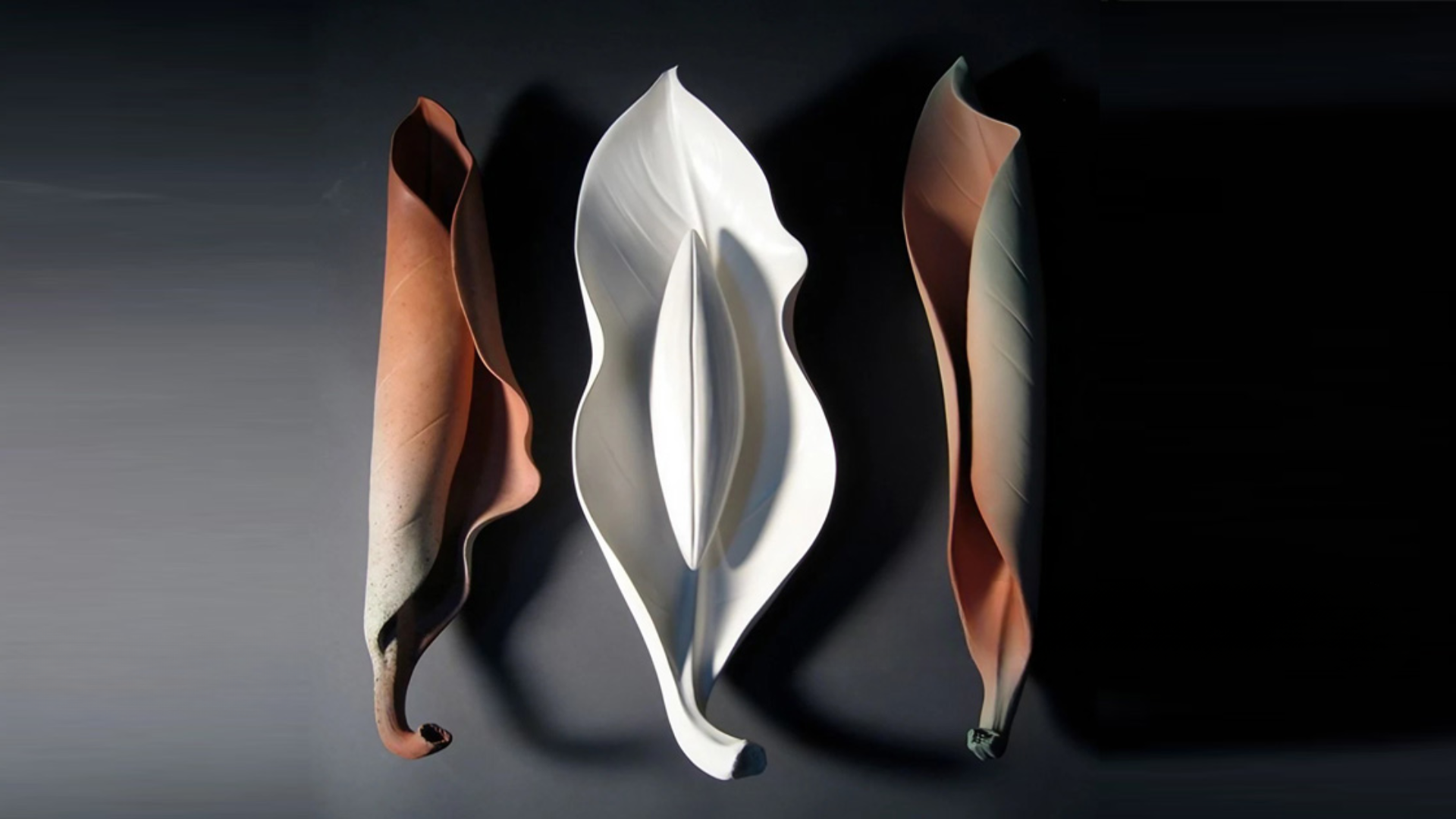 Untitled design