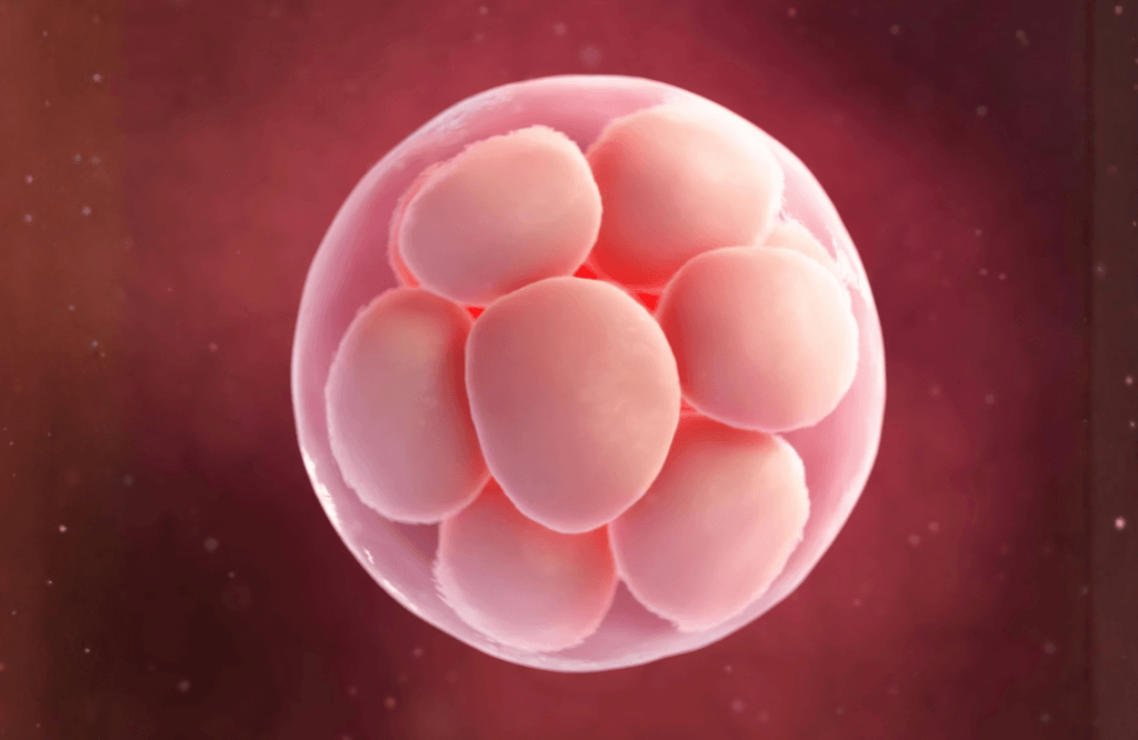 IVF 3 1