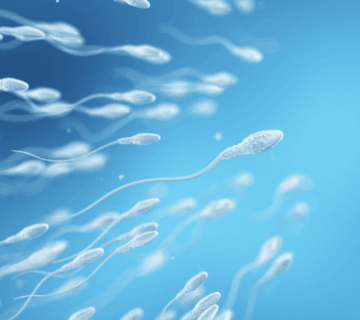 Image002k 10 1 360x320